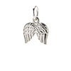 angel wings
