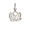 rising lotus