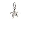 starfish