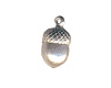acorn
