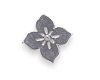 blossom