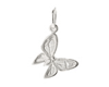 enchanted butterfly