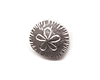 sand dollar