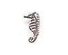 sea horse