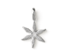 star flower