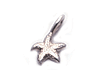 starfish